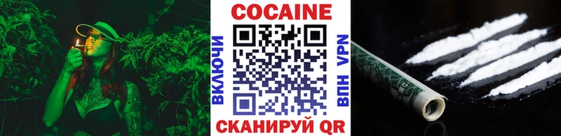 Cocaine Fish Scale blacksprut Каргополь